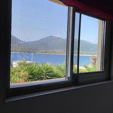 T3 Propriano Pied Dans L'Eau Apartment Exterior foto